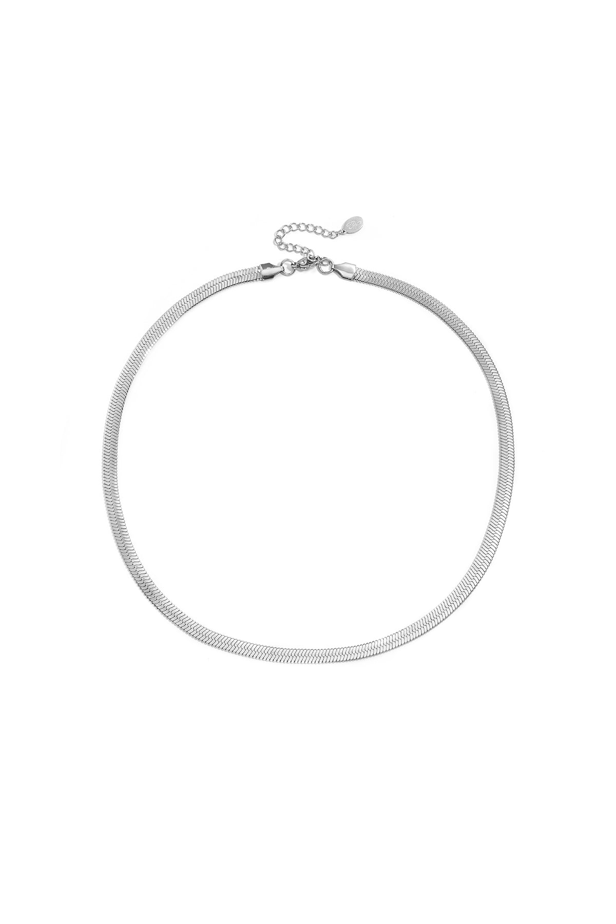 Close-up of silver minimalist chain necklace with smooth flat links on white background
