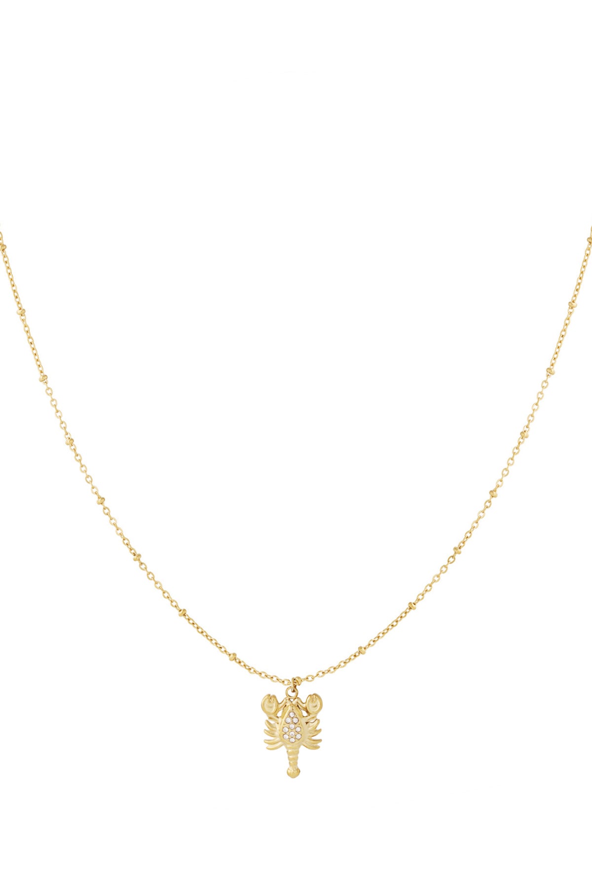 Gold lobster pendant necklace with rhinestone accents on delicate gold chain against white background