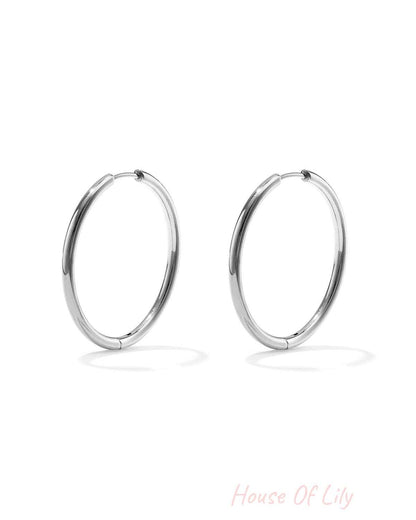stainless steel earrings hoops small