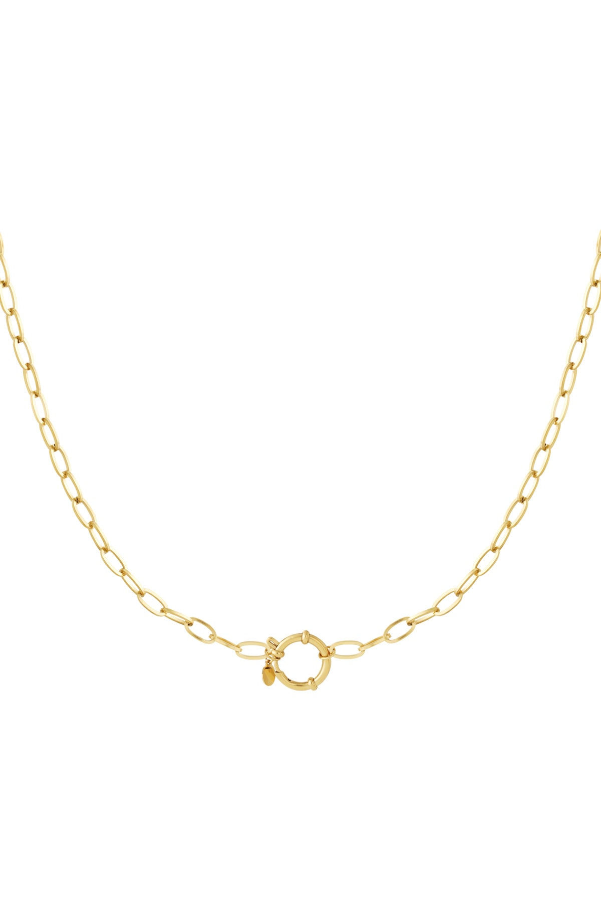 Close-up of gold link chain necklace with circular toggle clasp against white background