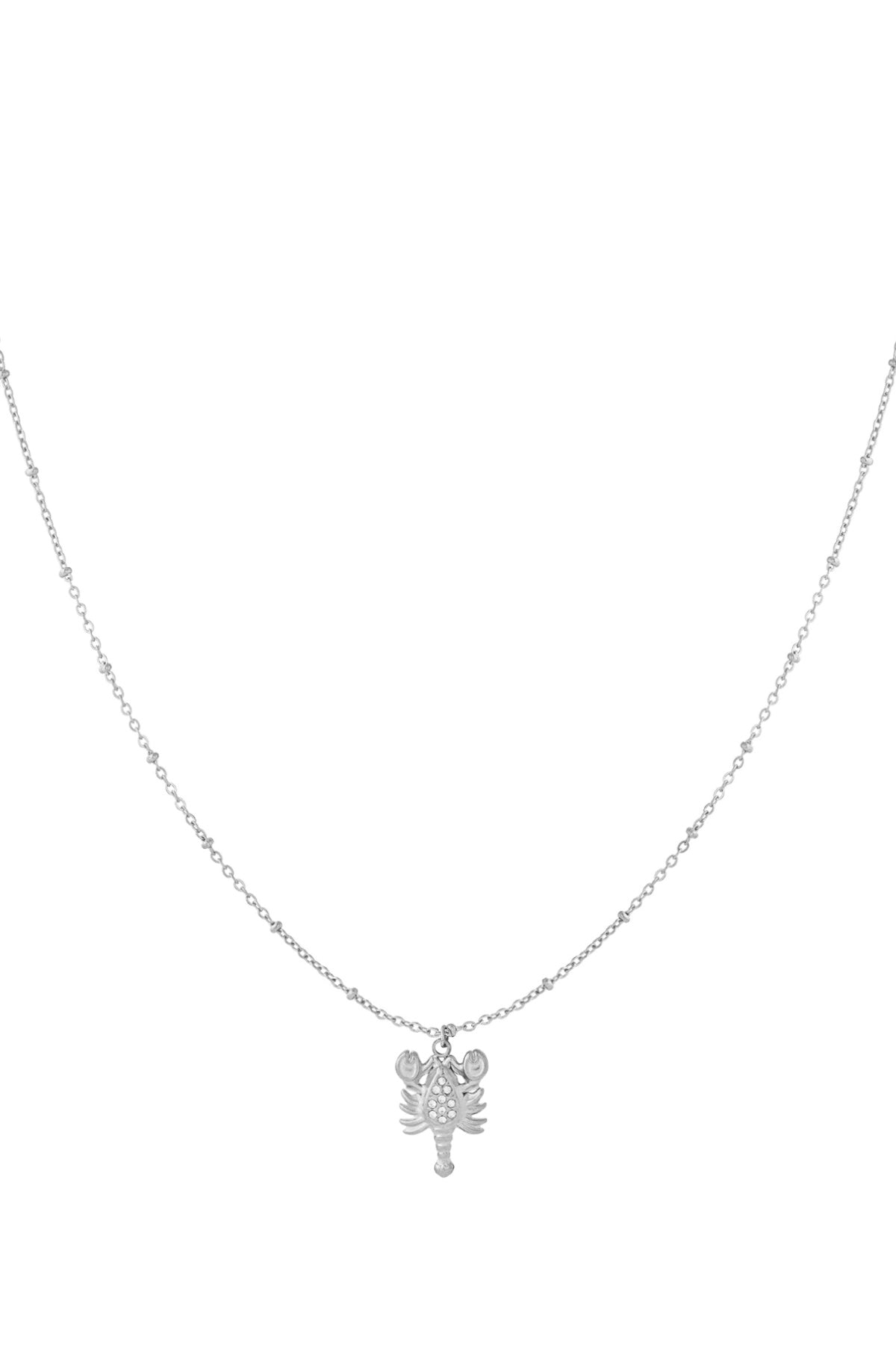 Silver lobster pendant necklace with rhinestone accents on delicate silver chain against white background