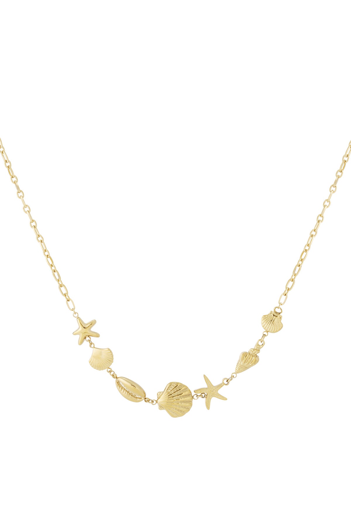Gold tone seaside charm necklace featuring starfish and various shell pendants on delicate chain