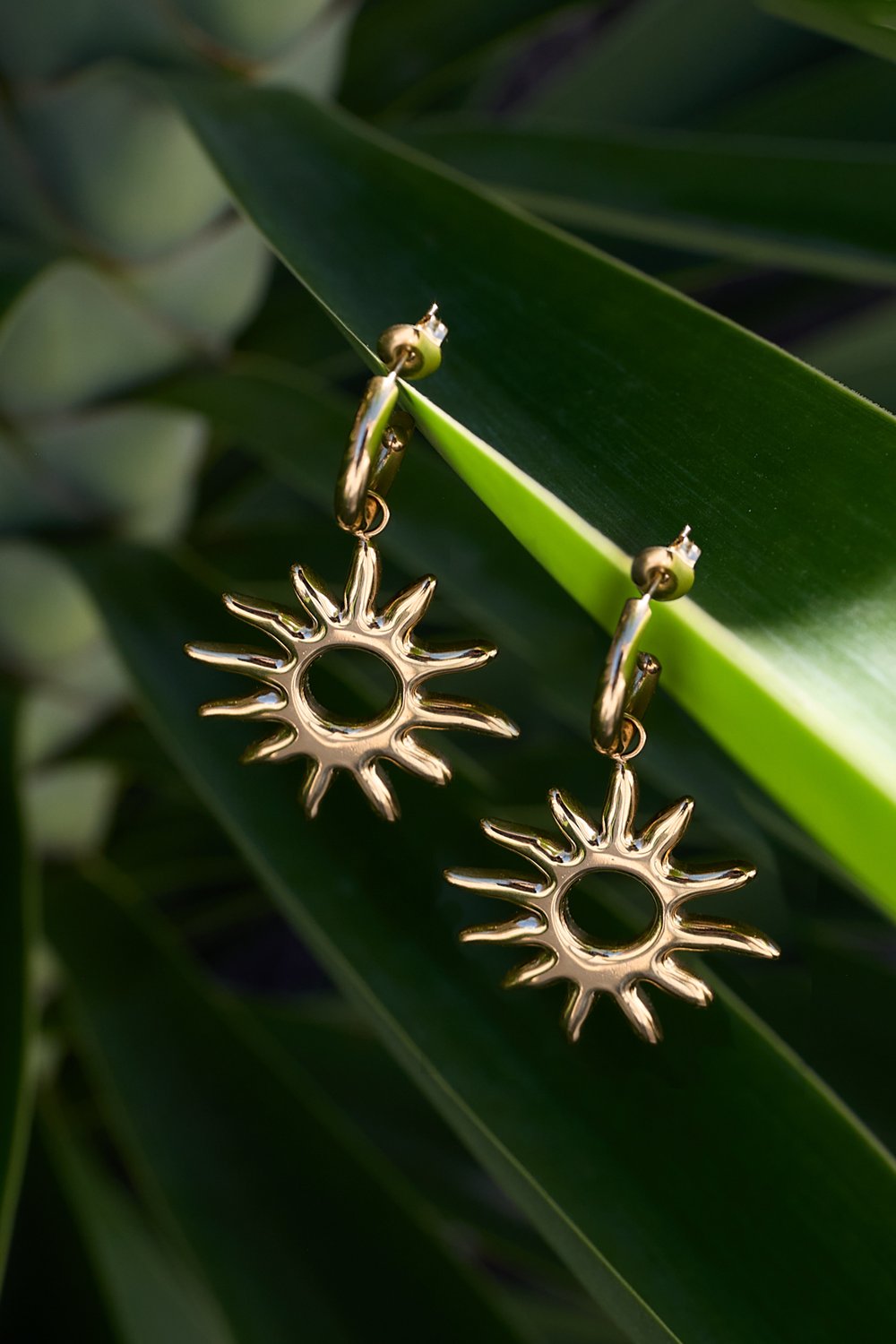 Golden Hour Glow Drops: Gold hoop earrings featuring polished sunburst charms resting on a vibrant green leaf.