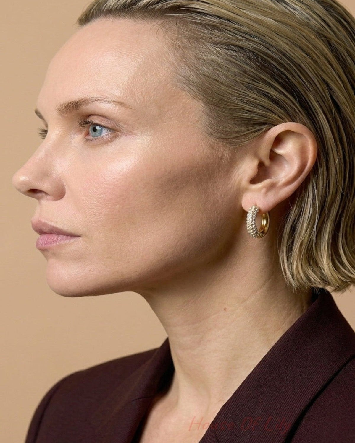 Profile of a woman wearing small gold hoop earrings paved with sparkling stones.